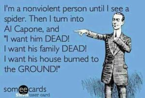 295504_10151326070426395_2085743813_n