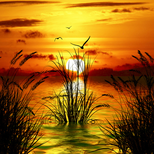 shutterstock_192595895