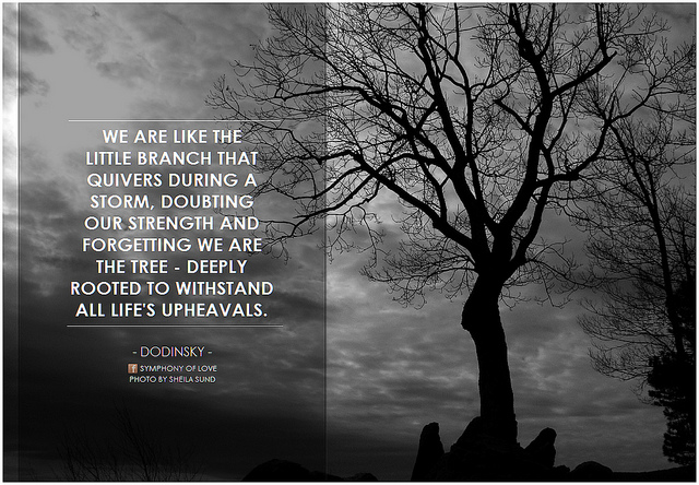 10467039534_e3a32b4555_z