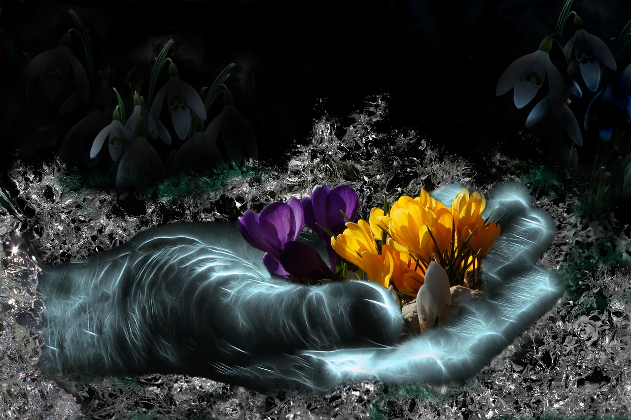 harbinger-of-spring-3254539_1280